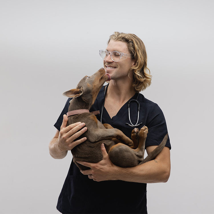 Cruisers Clear Frame Blue Light Blocking Lens