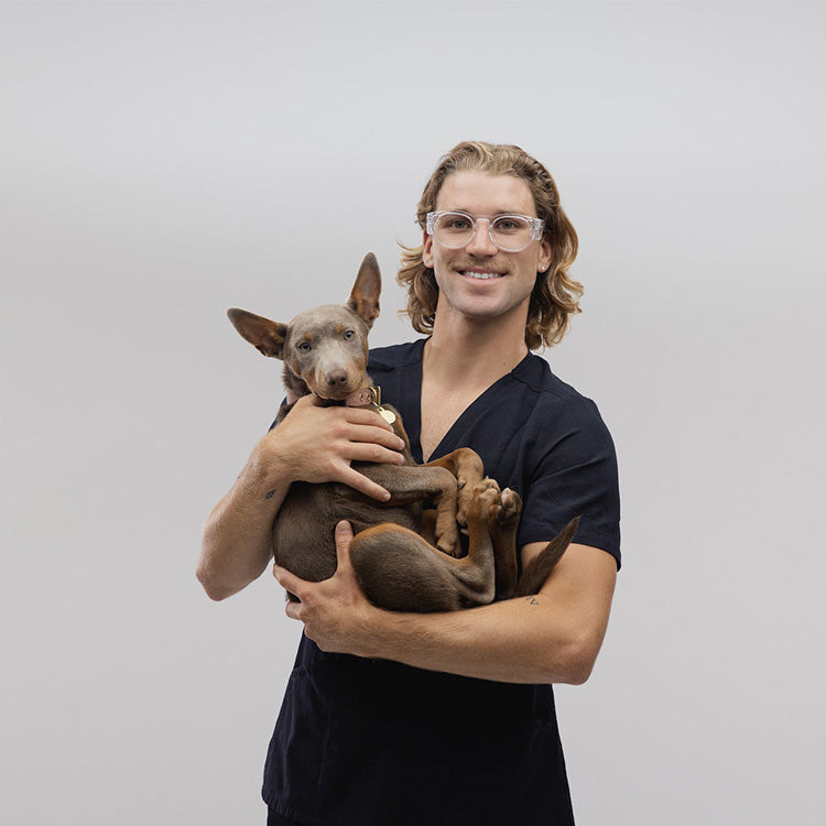 Cruisers Clear Frame Clear Lens